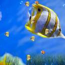 Marine Life Aquarium Animated Wallpaper screenshot