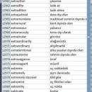 Dictionary Wordlist SQL, Excel, Access screenshot