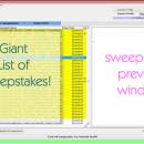 SweepersChoice Online Sweepstakes Soft screenshot