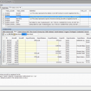 SQL Data Lens screenshot