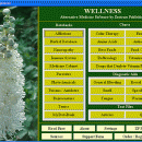 Wellness screenshot