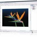 Corel DRAW screenshot Corel DRAW screenshot