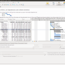RationalPlan Multi Project for Linux screenshot