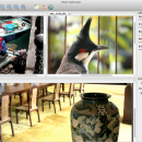 Urban Lightscape for Mac OS X screenshot