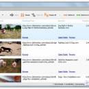 MP4 Downloader Pro screenshot