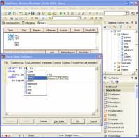 Oracle Data Access Components for Delphi 7 screenshot