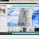 FlashCatalogMaker PPT to Flash screenshot