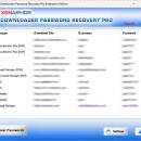 Downloader Password Recovery Pro 2024 screenshot