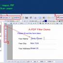 PDF Text Filler screenshot