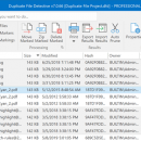 Duplicate File Detective screenshot