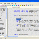 Dis# - .NET decompiler screenshot