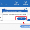 iSunshare Word Unprotect Genius screenshot