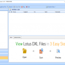DXL File Viewer screenshot