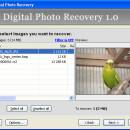 Easy Digital Photo Recovery screenshot