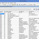 RecordEditor_Linux screenshot