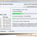 Online Bulk SMS Blackberry screenshot