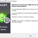 Devart ODBC Driver for Square screenshot