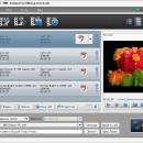 Tipard Video to SWF Converter screenshot