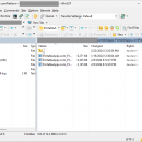 Portable WinSCP screenshot