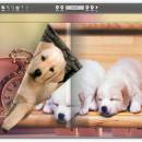 Free non flash page flip maker screenshot