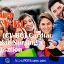 Killexams ANCC CV-BC Practice Test 2024 screenshot