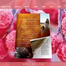 Frost Style Theme for 3D Book screenshot