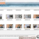 Digital Camera Undelete screenshot