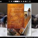 Cats Theme Templates screenshot
