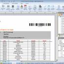 SmartVizor Bill Statement Batch Printing Software screenshot