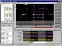 Celera Genome Browser for Linux screenshot