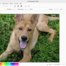 Pinta for Linux screenshot