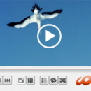 HD Video Media Player for Windows screenshot