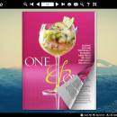 Horizon Theme for eFlip Software screenshot