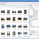 PhotoOnWeb Album Creator screenshot