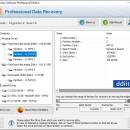 Data Recovery Software Professional screenshot