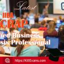 Killexams IIBA CBAP Exam Dumps 2024 screenshot