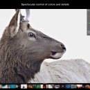 Polarr Photo Editor screenshot