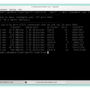 Iperf screenshot