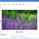 iWatermark Pro 2 for Windows screenshot