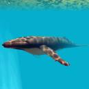 Deep Sea World 3D Screensaver screenshot