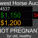 Auction Tote Board screenshot