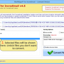 SoftStella IncrediMail Converter screenshot