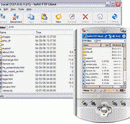 SoftX FTP Client screenshot