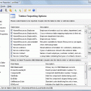 DTM Schema Reporter screenshot