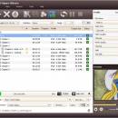 4Media DVD Ripper Ultimate screenshot