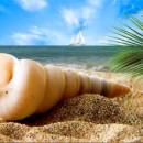 Tropical Waves Screensaver screenshot