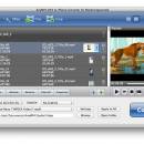 AnyMP4 DVD to iPhone Converter for Mac screenshot
