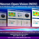 Nevron Open Vision screenshot