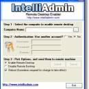 Remote Desktop Enabler screenshot