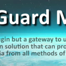 SafeGuard Media Plugin for WordPress screenshot